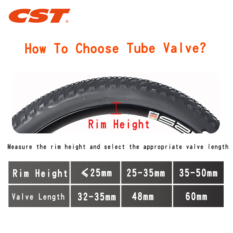 2PCS CST Bike Inner Tubes 20in - đánh giá và giá Inner Tube 700C