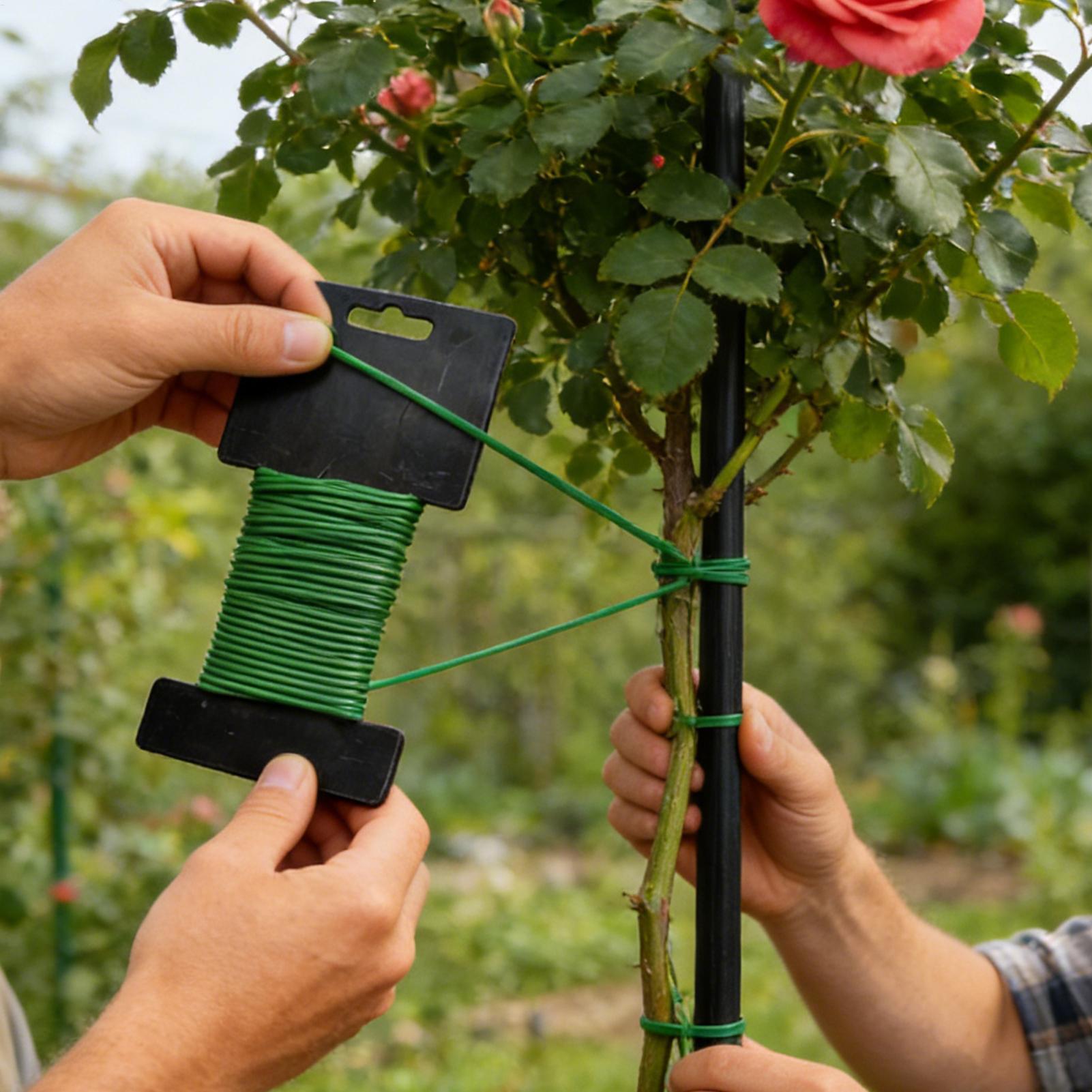 10m Gardening Ties Plant Suppo - đánh giá và giá Cable Lock Flexible